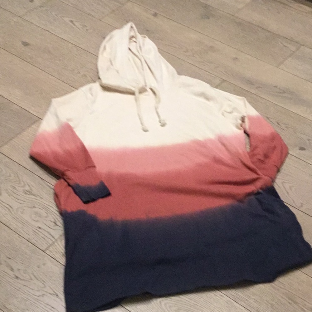 Evy's Tree Pink and Blue Ombre Hoodie